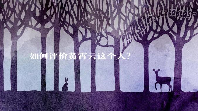 如何评价黄霄云这个人？