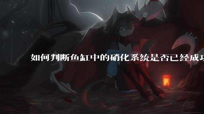如何判断鱼缸中的硝化系统是否已经成功建立？