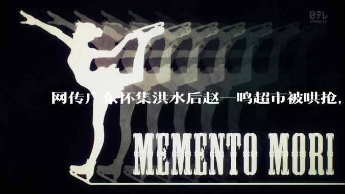 网传广东怀集洪水后赵一鸣超市被哄抢，县***回应相关单位正在核实，若属实哄抢者该承担哪些法律责任？