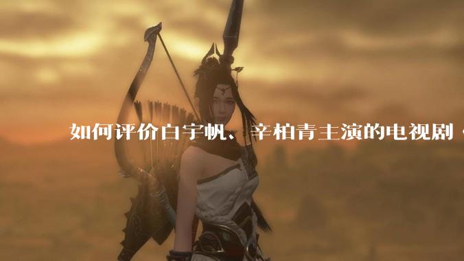 如何评价白宇帆、辛柏青主演的电视剧《护宝寻踪》？